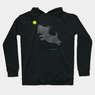 Scottish Terrier Dog Hoodie